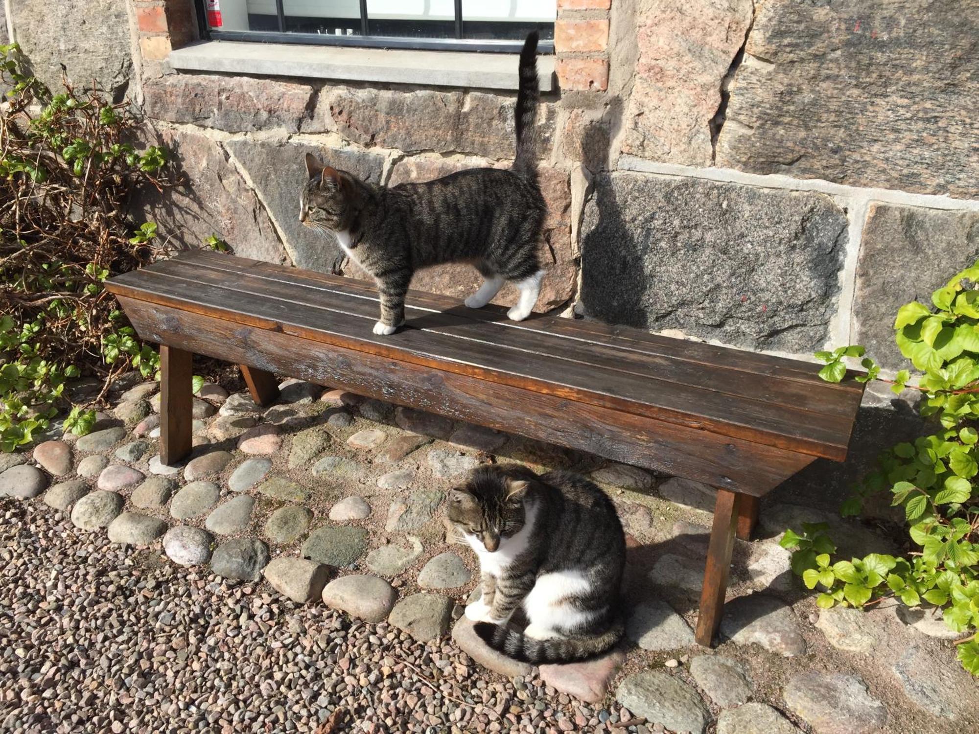Lyckas Gards Gaestboende Höganäs Exterior foto