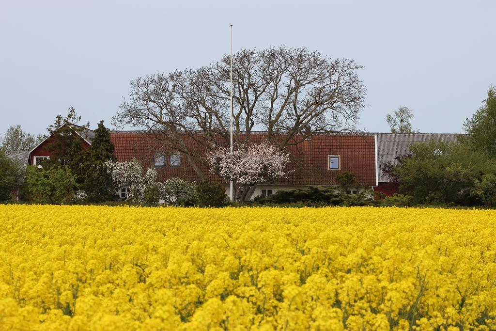 Lyckas Gards Gaestboende Höganäs Exterior foto