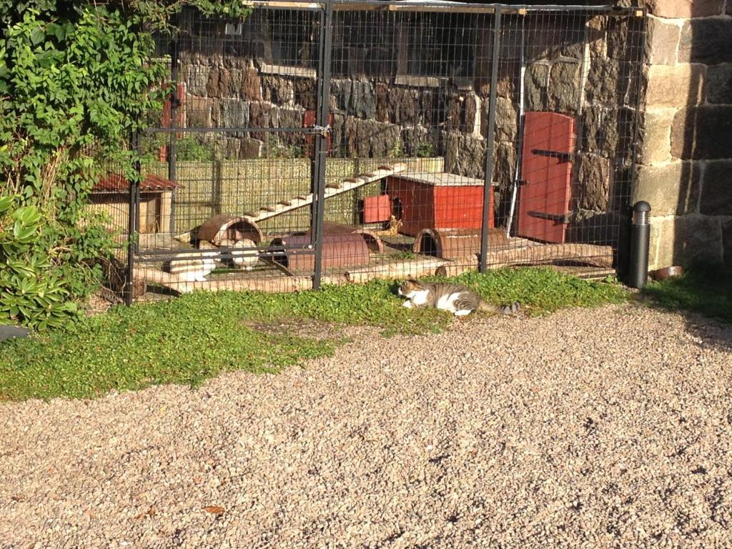 Lyckas Gards Gaestboende Höganäs Exterior foto