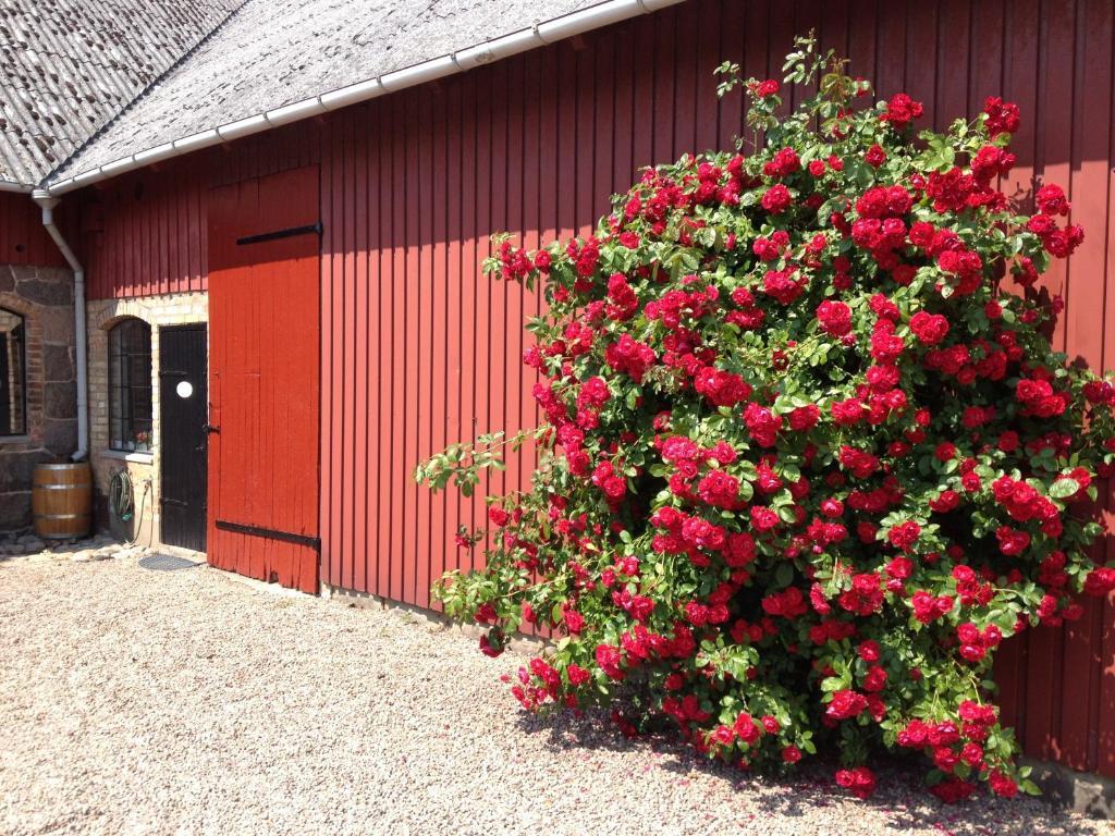 Lyckas Gards Gaestboende Höganäs Exterior foto