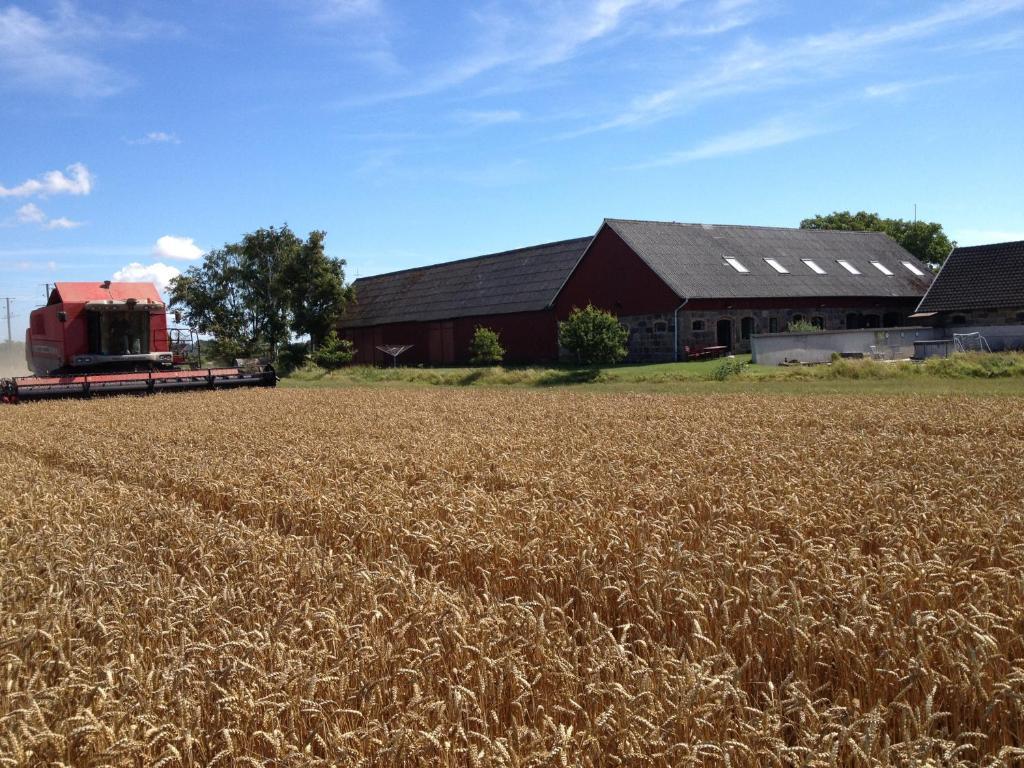 Lyckas Gards Gaestboende Höganäs Exterior foto